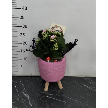 Ayaklı Saksı da Pembe Kalançhoe